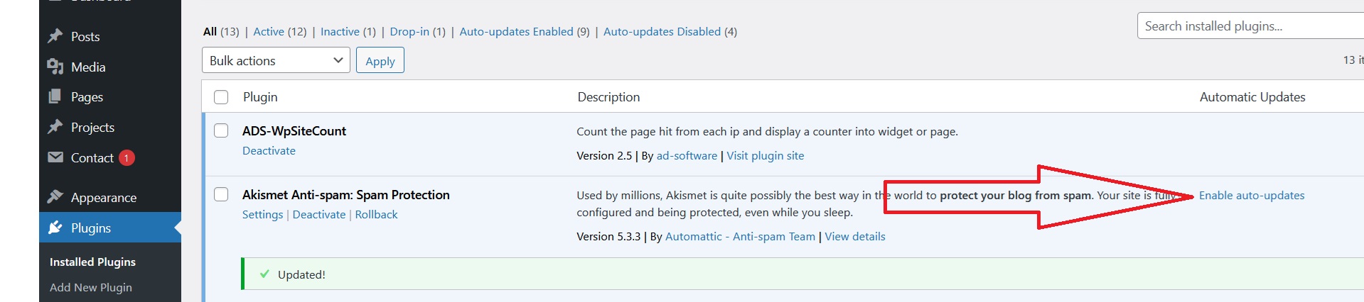 Selecting the option 'Enable auto-updates' in the plugins to automatically update WordPress plugins.